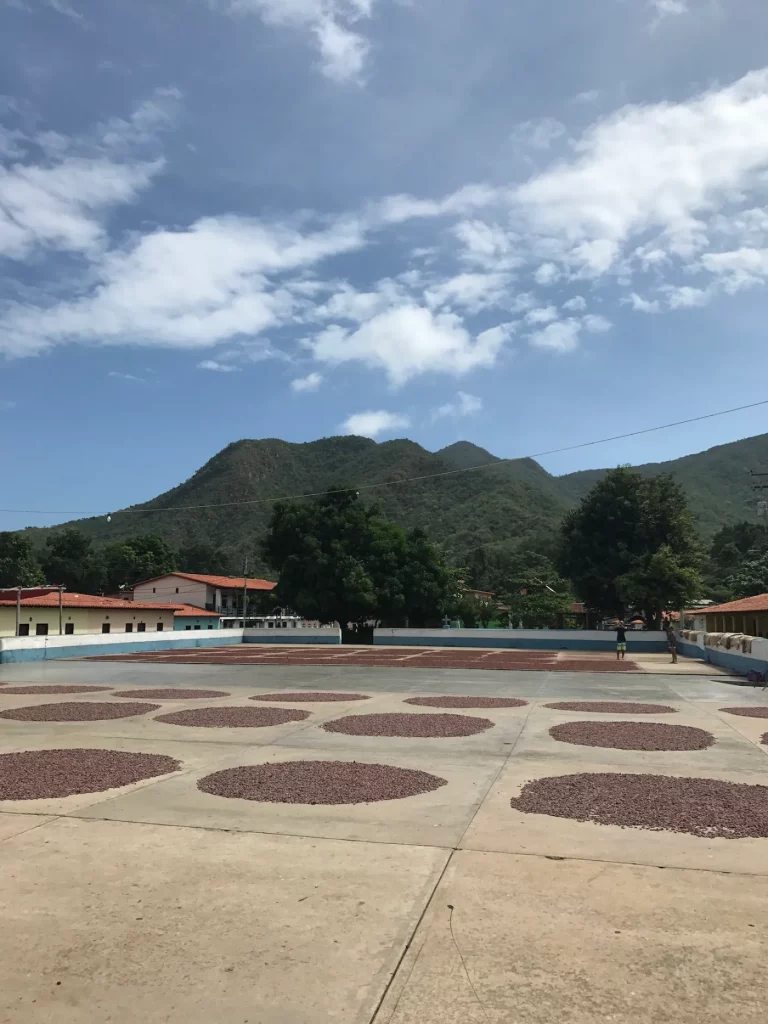 Ruta del cacao de Chuao — fotografía editorial 1